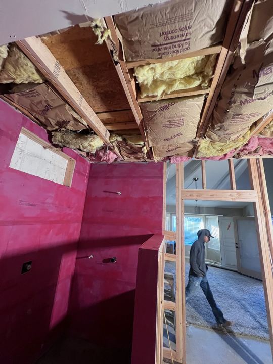 Bath demo down to the studs