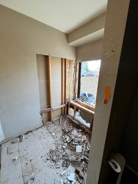 Bathroom during demo
