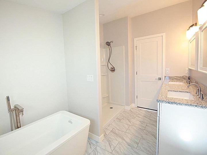 Freestanding tub and shower